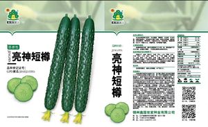 亮神短樽