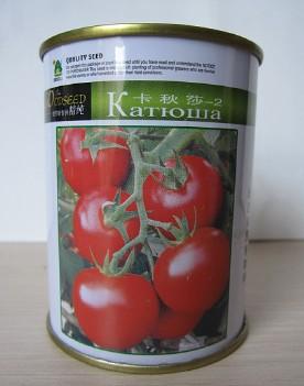 卡秋莎-2——番茄种子