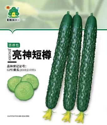 亮神短樽