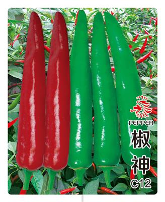 椒神C12——辣椒种子