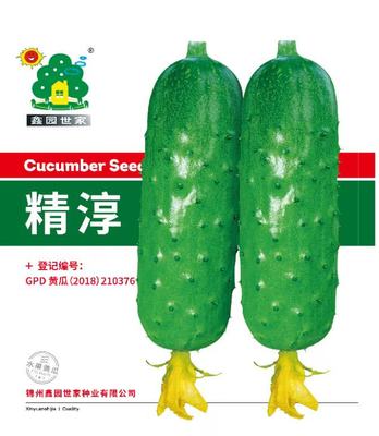 精淳