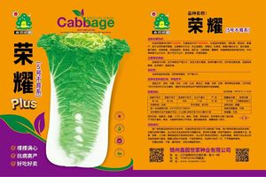 荣耀