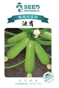 法育