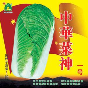 中华菜神一号——白菜种子