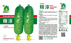 精淳