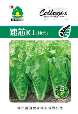 速芯K1