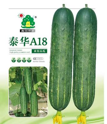泰华A18