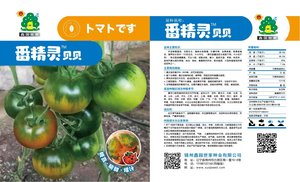 番精灵贝贝