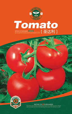 圣达利——番茄种子
