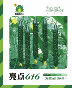 亮点616