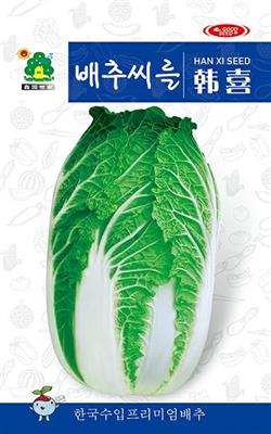 韩喜——白菜种子